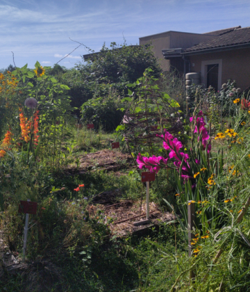Formation jardin potager