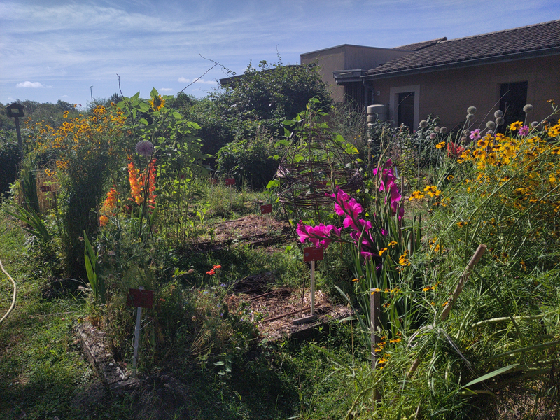 Formation jardin potager