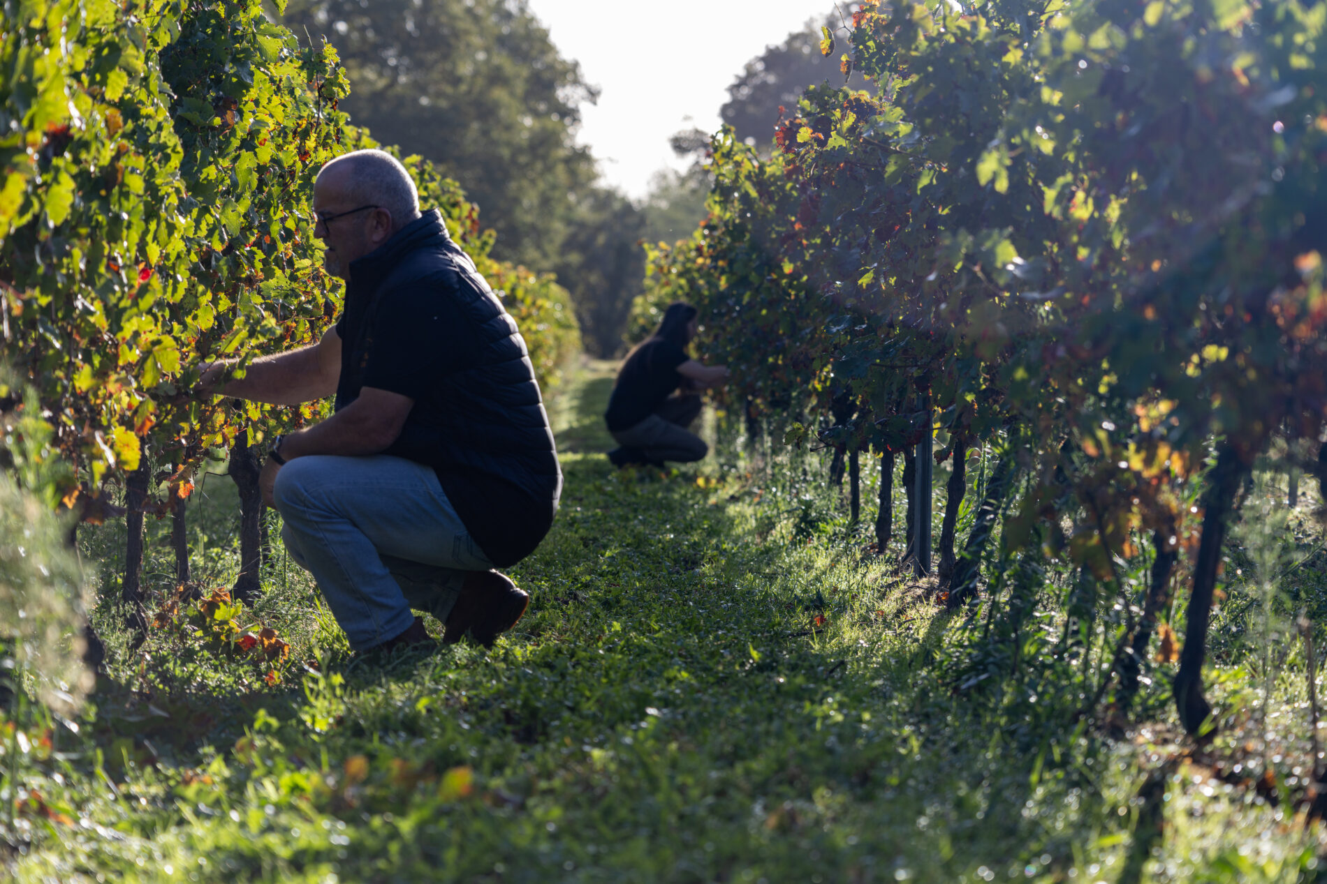 Jean-Bernard MUSSOTTE 7