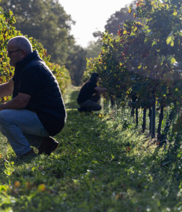 Jean-Bernard MUSSOTTE 7