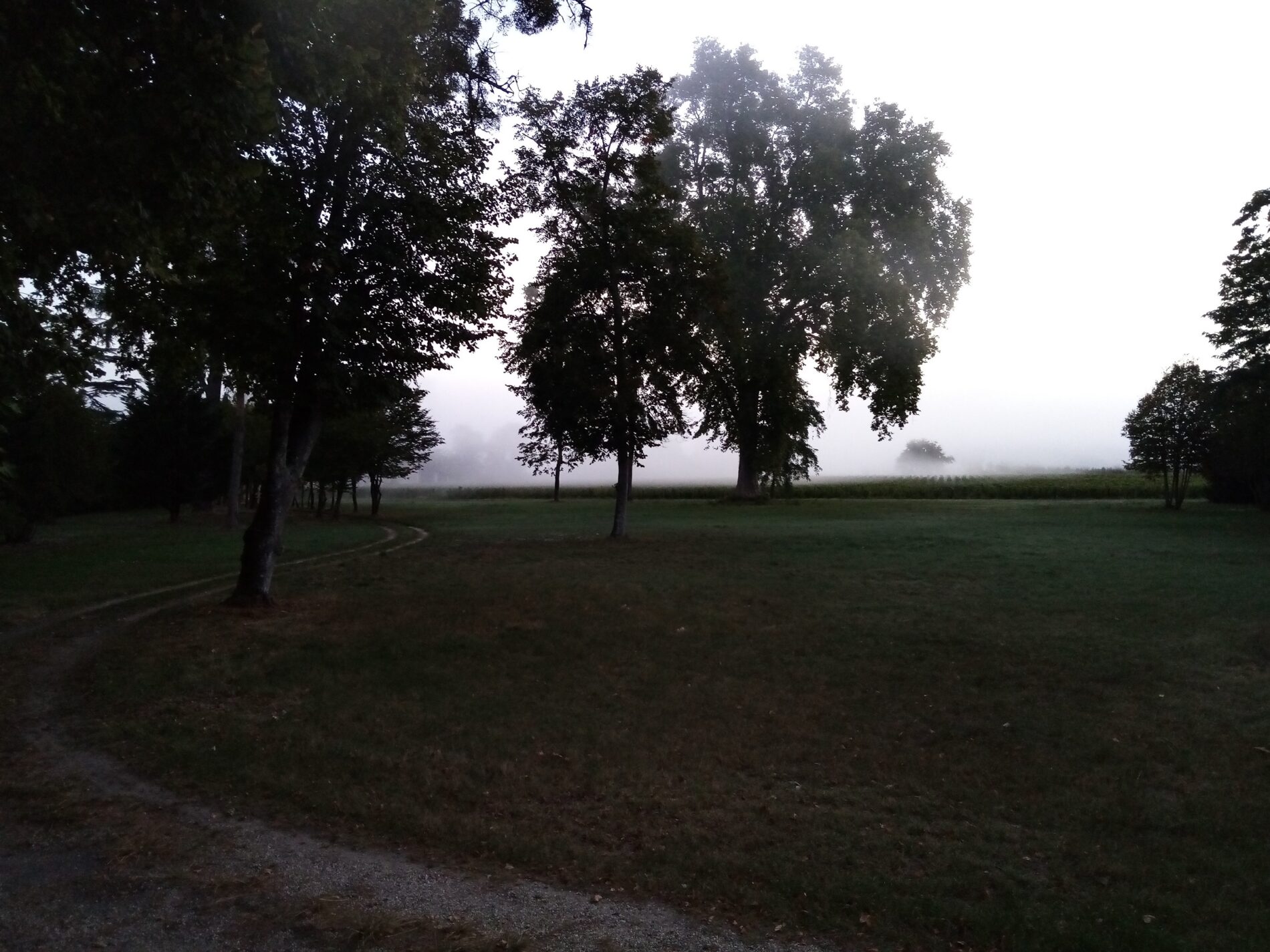 LMLM_brouillard