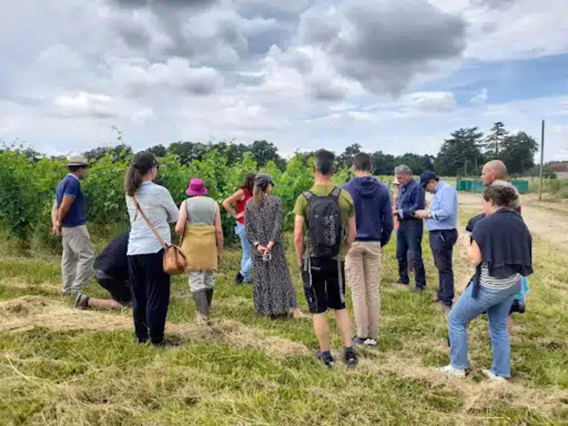 La ferme de carbouey