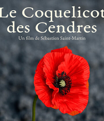 Le Coquelicot des Cendres