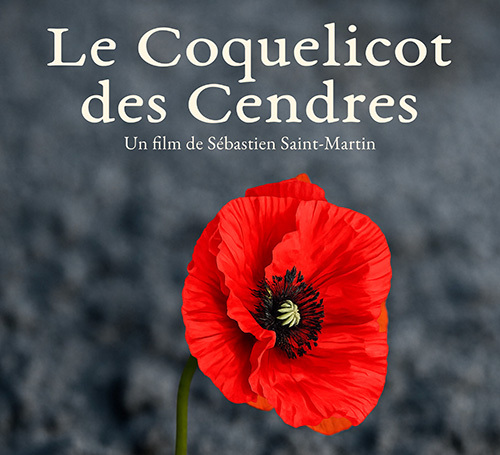 Le Coquelicot des Cendres