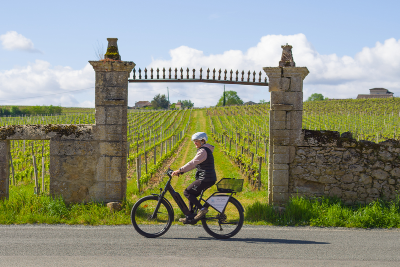 Les Cycles du Bazadais - La Gironde du Sud - Sauternes 1
