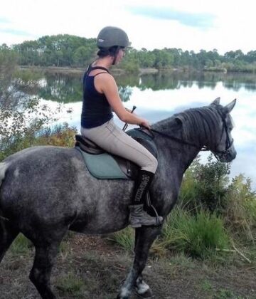 Les Ecuries du Lac d'Hostens - HOSTENS - Sud-Gironde