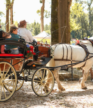 Les Cavalcades Saint-Macaire