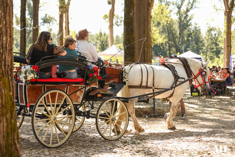 Les Cavalcades Saint-Macaire