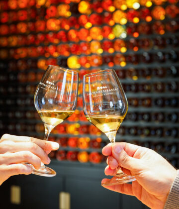 Maison du Sauternes - SAUTERNES - Sud-Gironde