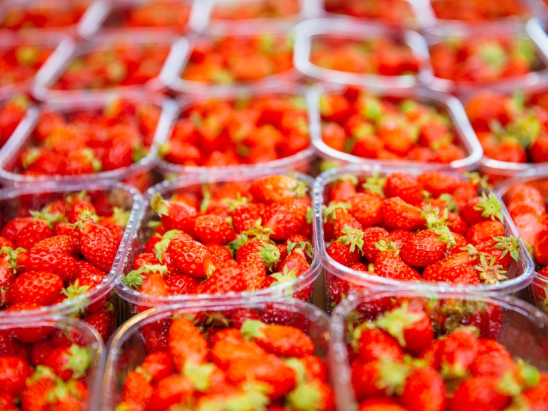 Marché en Bazadais (7)