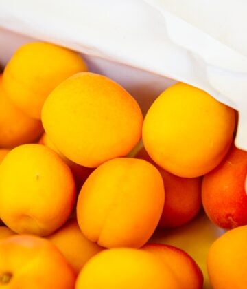 Marché en Bazadais (9)