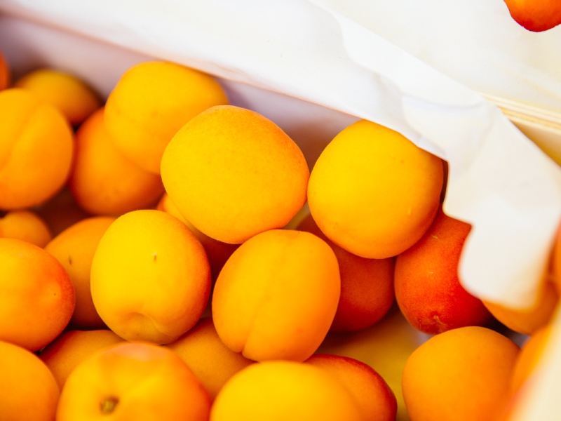 Marché en Bazadais (9)