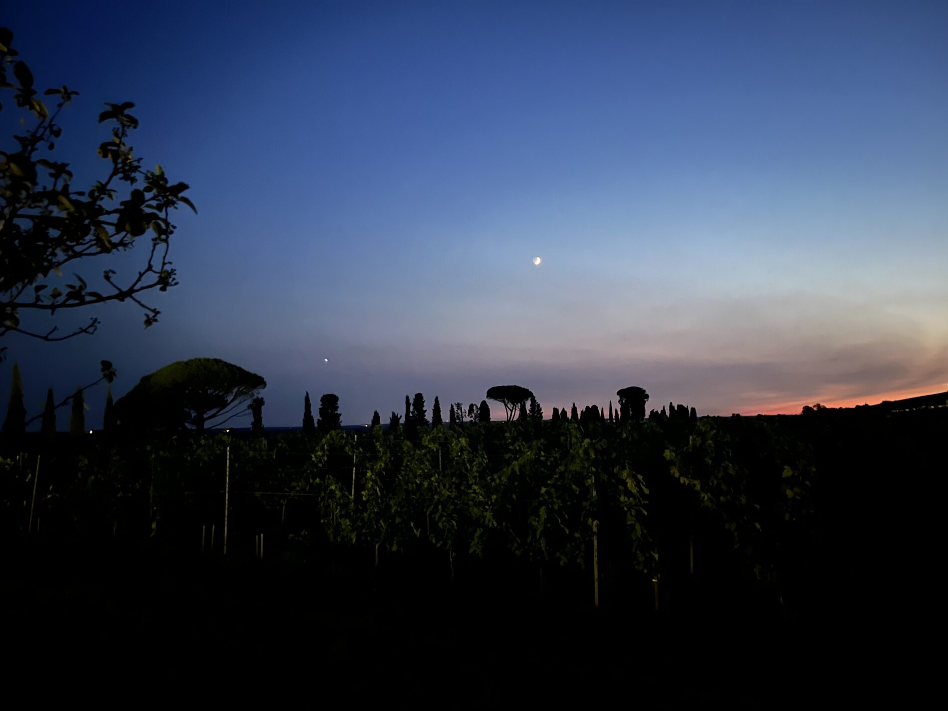 Les Noctambules de septembre au Domaine de Malagar