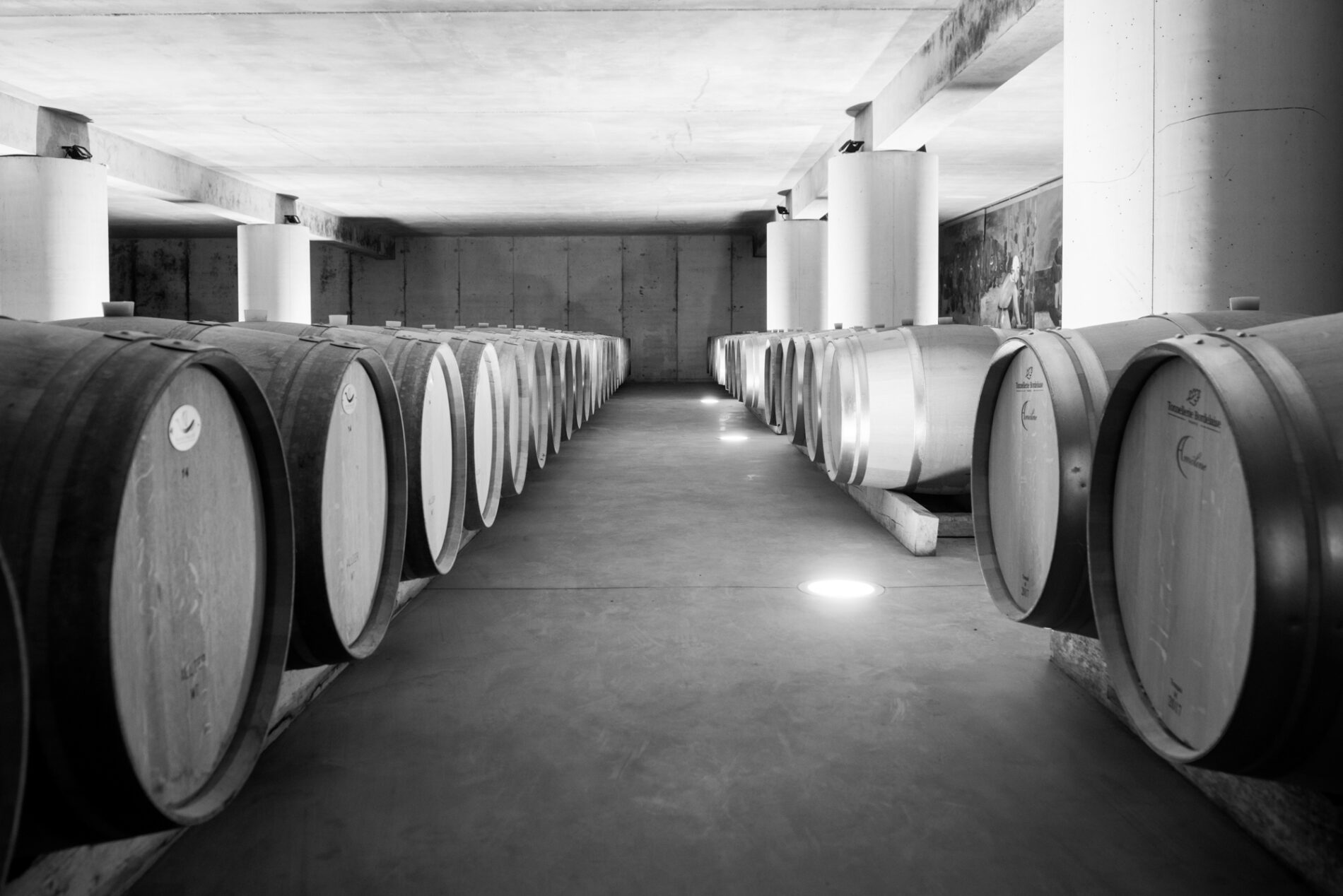 PHOTO CHAI A BARRIQUES 2.1