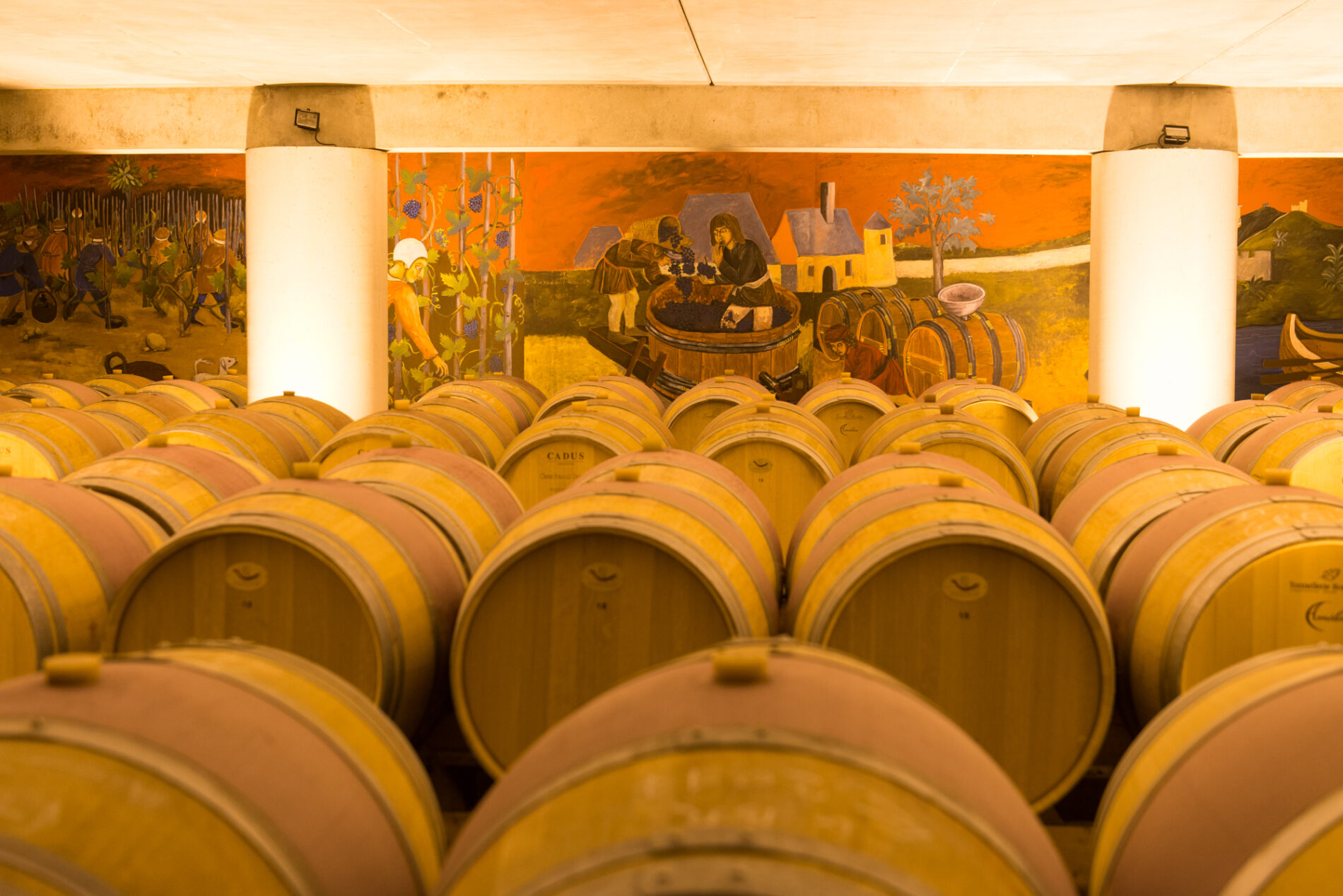 PHOTO CHAI A BARRIQUES couleur coté fresque.2