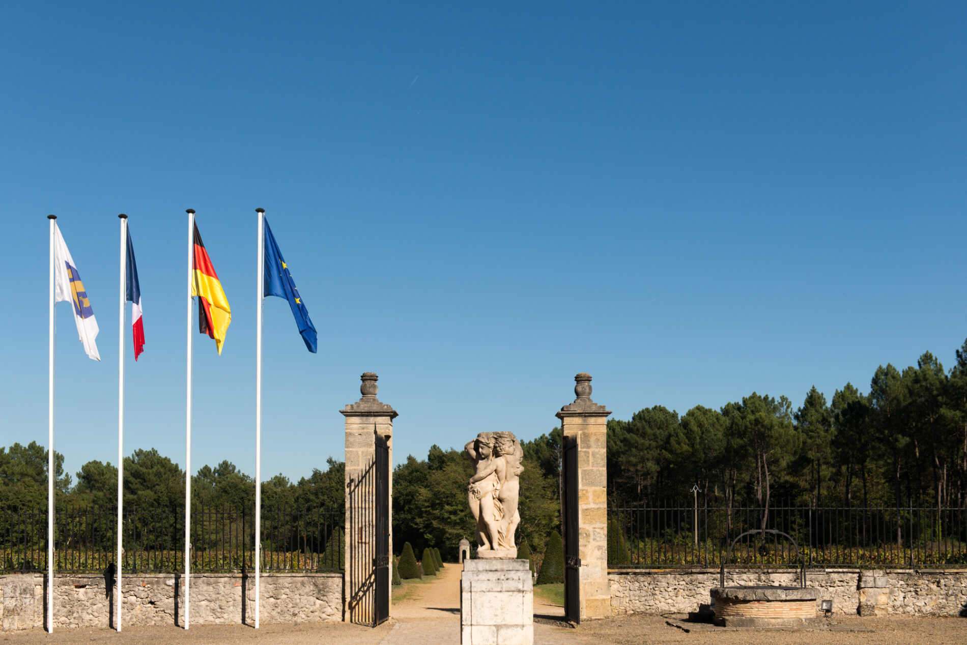 PHOTO GRAND BOS CHERUBINS FORET.7