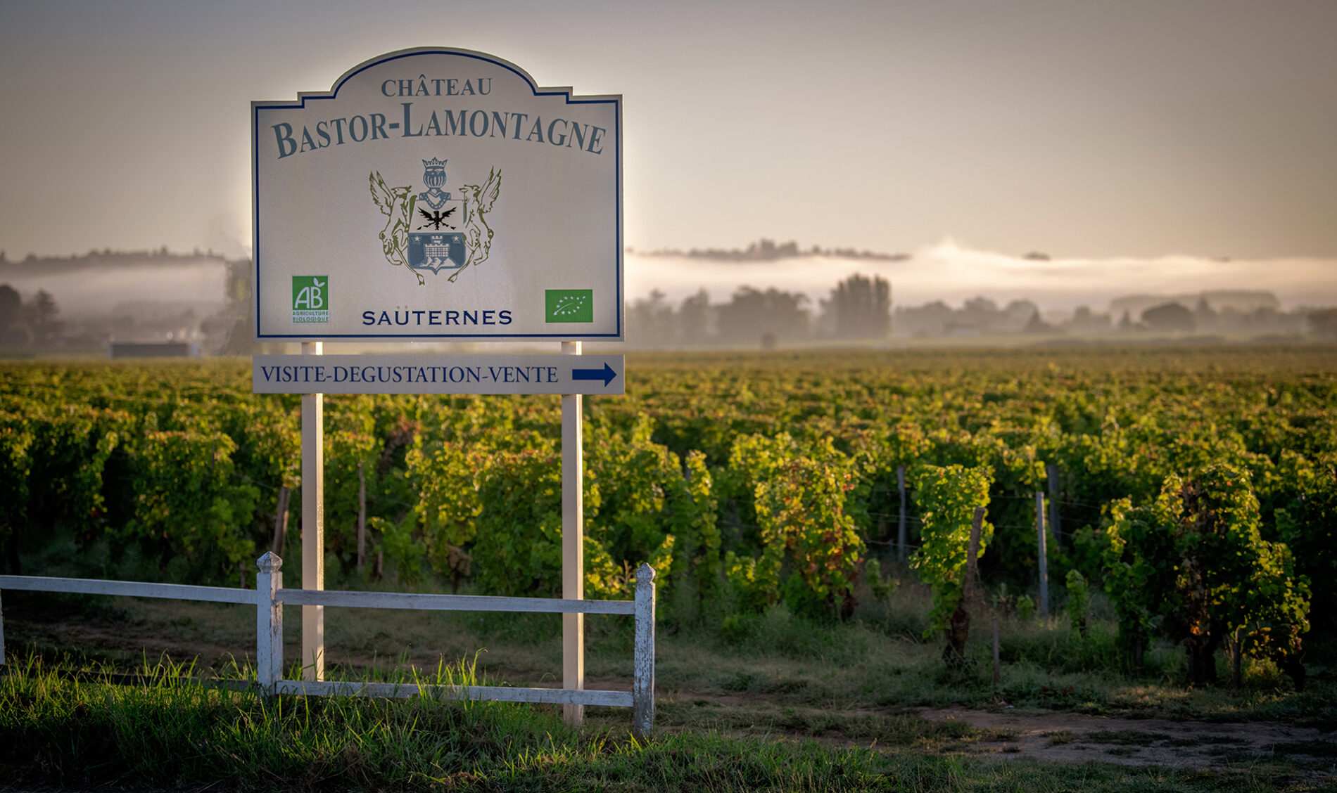 Panneau-et-vignoble