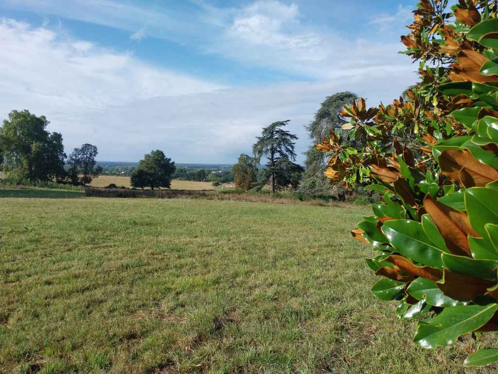 Parc du château