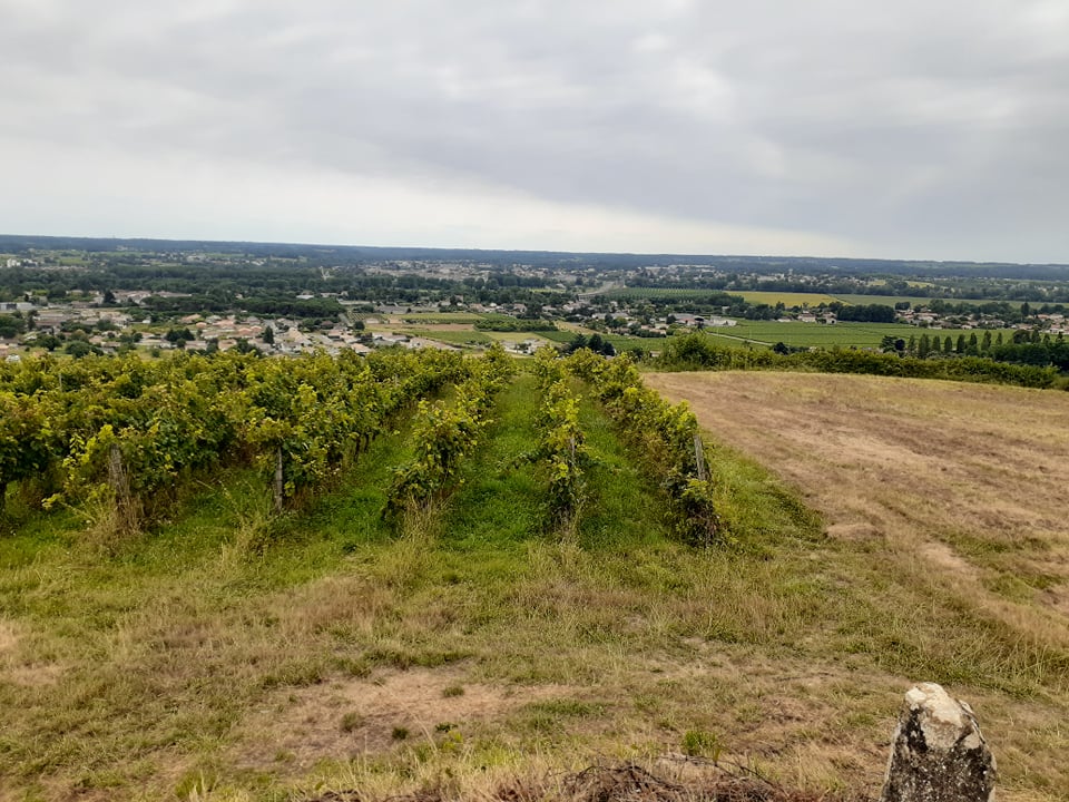 Point de vue Pian