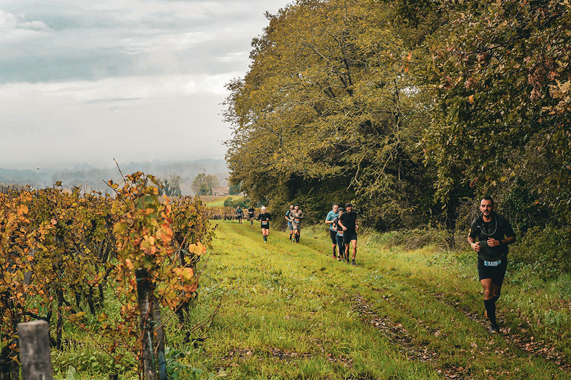 Raisin d'Or - Trail
