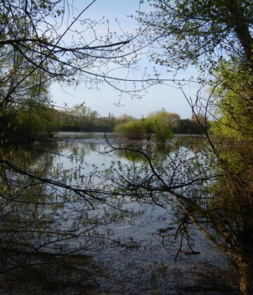 Sortie nature Saint-Macaire