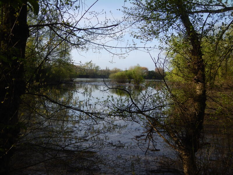 Sortie nature Saint-Macaire