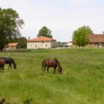 Sauviac - Grange de Majouraou
