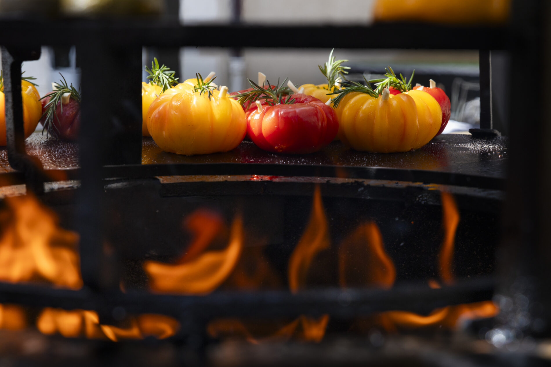 Terrasse-Ingredients_3363-HD