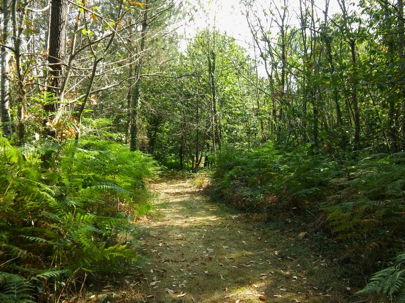 Trail des paloumayres