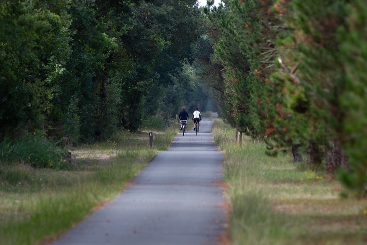 Vélo
