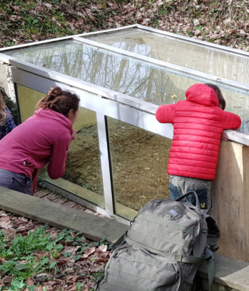 Agenda en ligne - Visite Voyage dans le passé Réserve Géologique Saucats