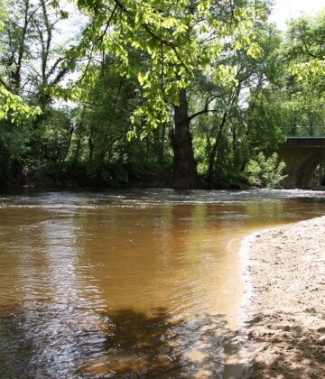 Vue sur Pujols-sur-Ciron