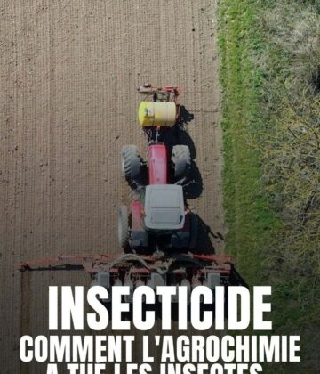 affiche-insecticide-2