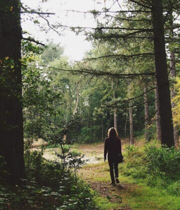 bain forêt
