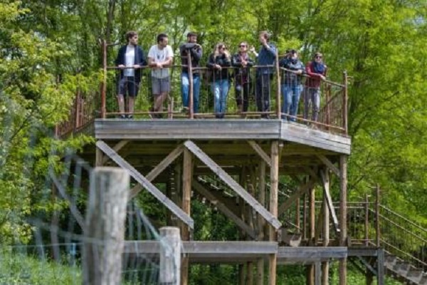 belvédère ile de raymond