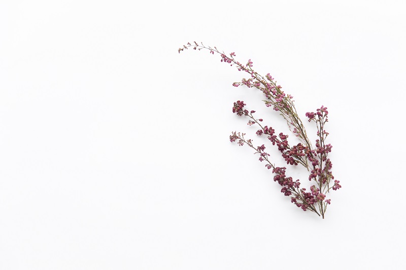 bouquet-de-fleurs-sauvages
