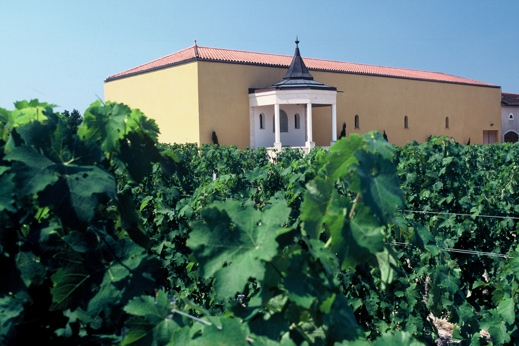 Château Brondelle - LANGON - Sud-Gironde