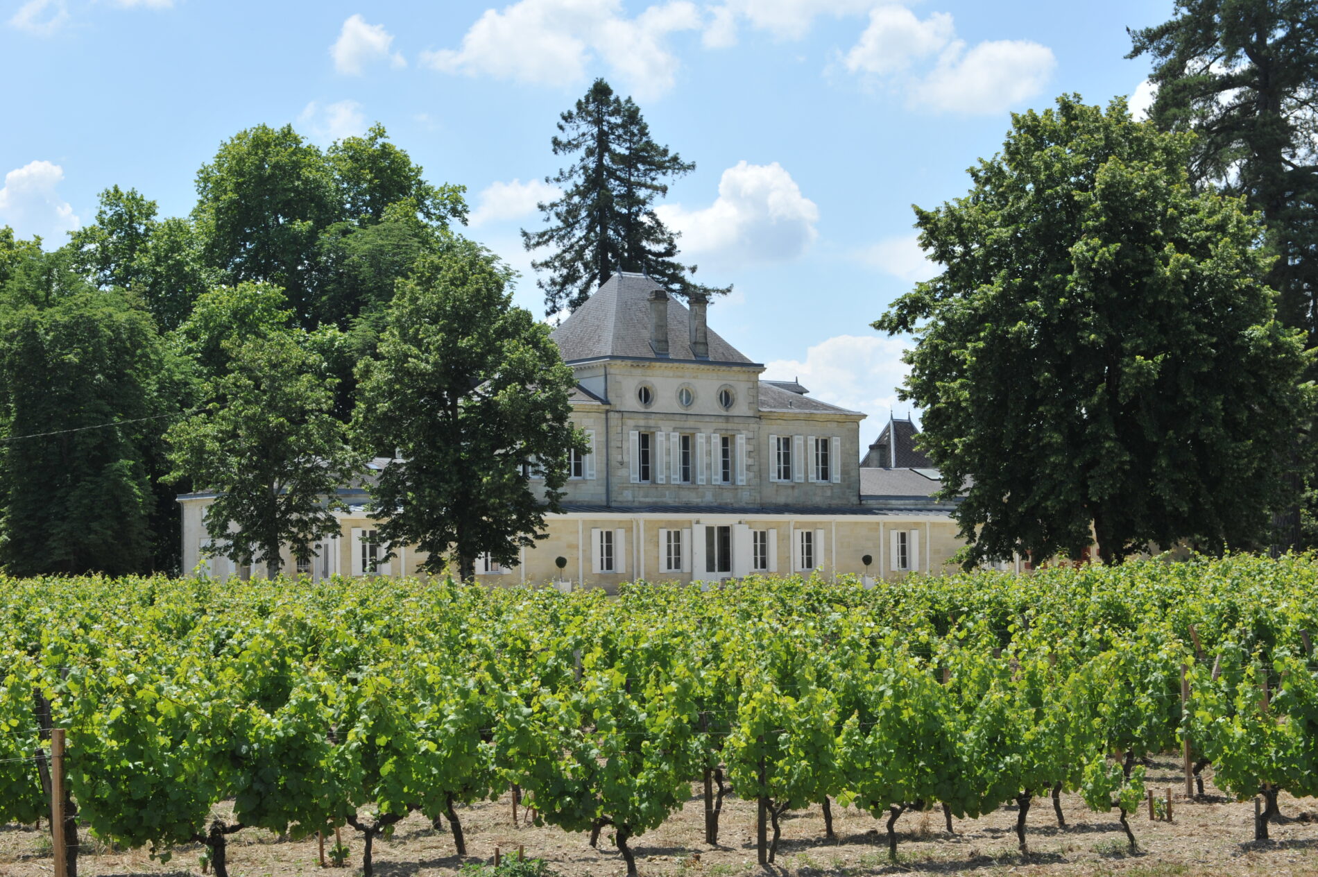 chateau_haut_nouchet (2)