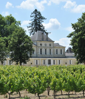 chateau_haut_nouchet (2)