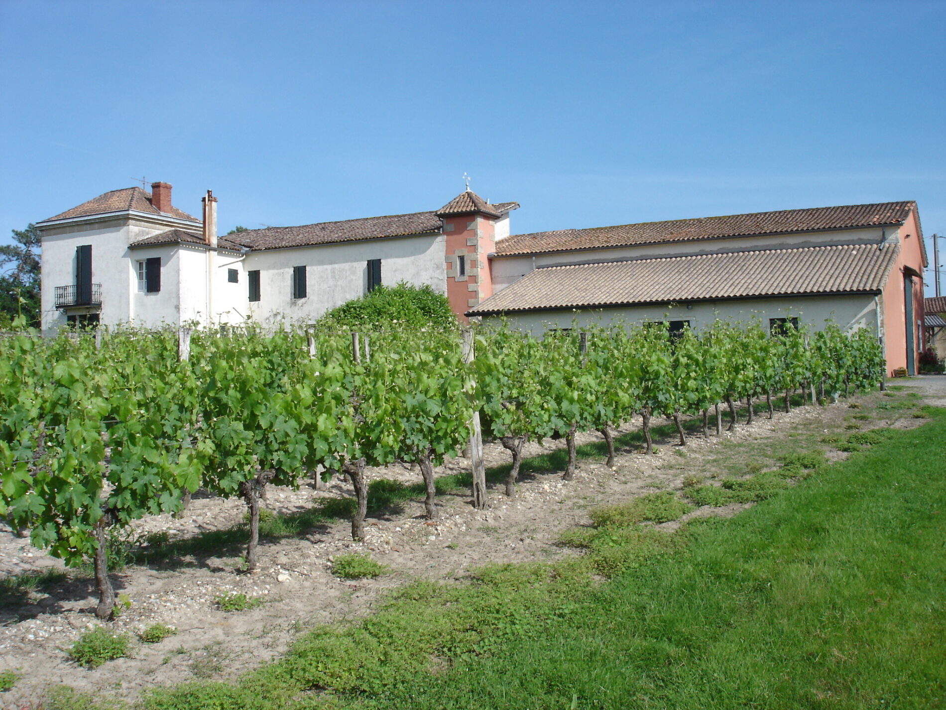 Domaines Latrille Bonnin - MAZÈRES - Sud-Gironde