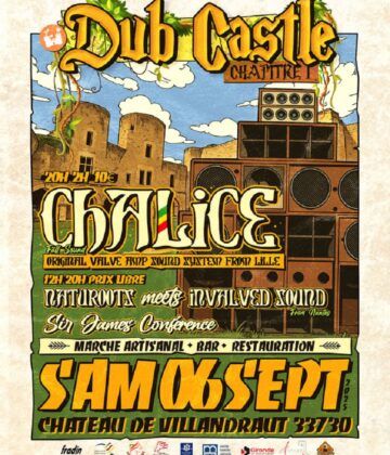dub castle