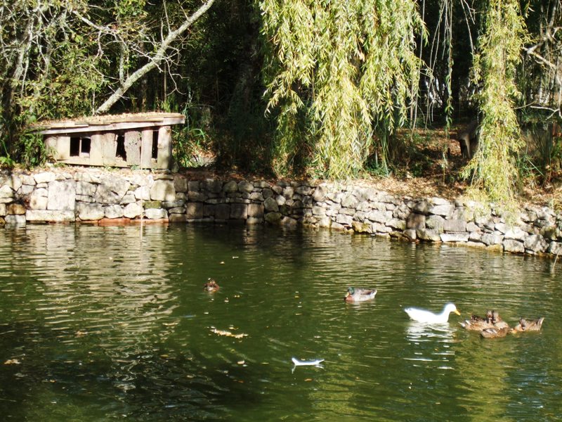 Destination Garonne, La Canissière, Saint-Michel-De-Rieufret, l'étang