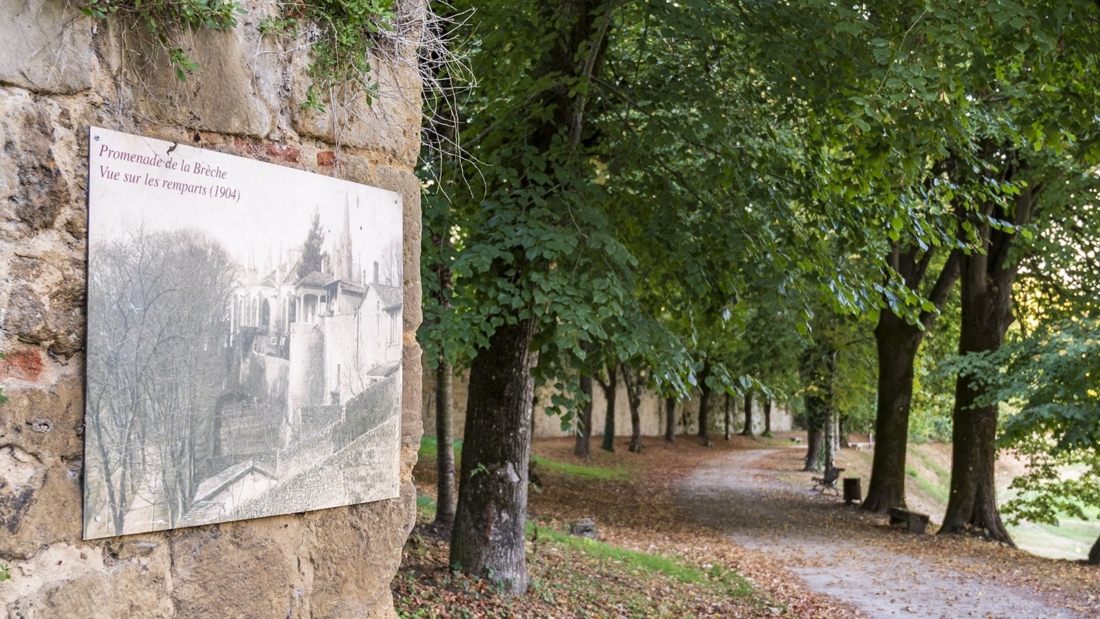 f-bazas-promenade-de-la-breche-credits-hilke-maunder