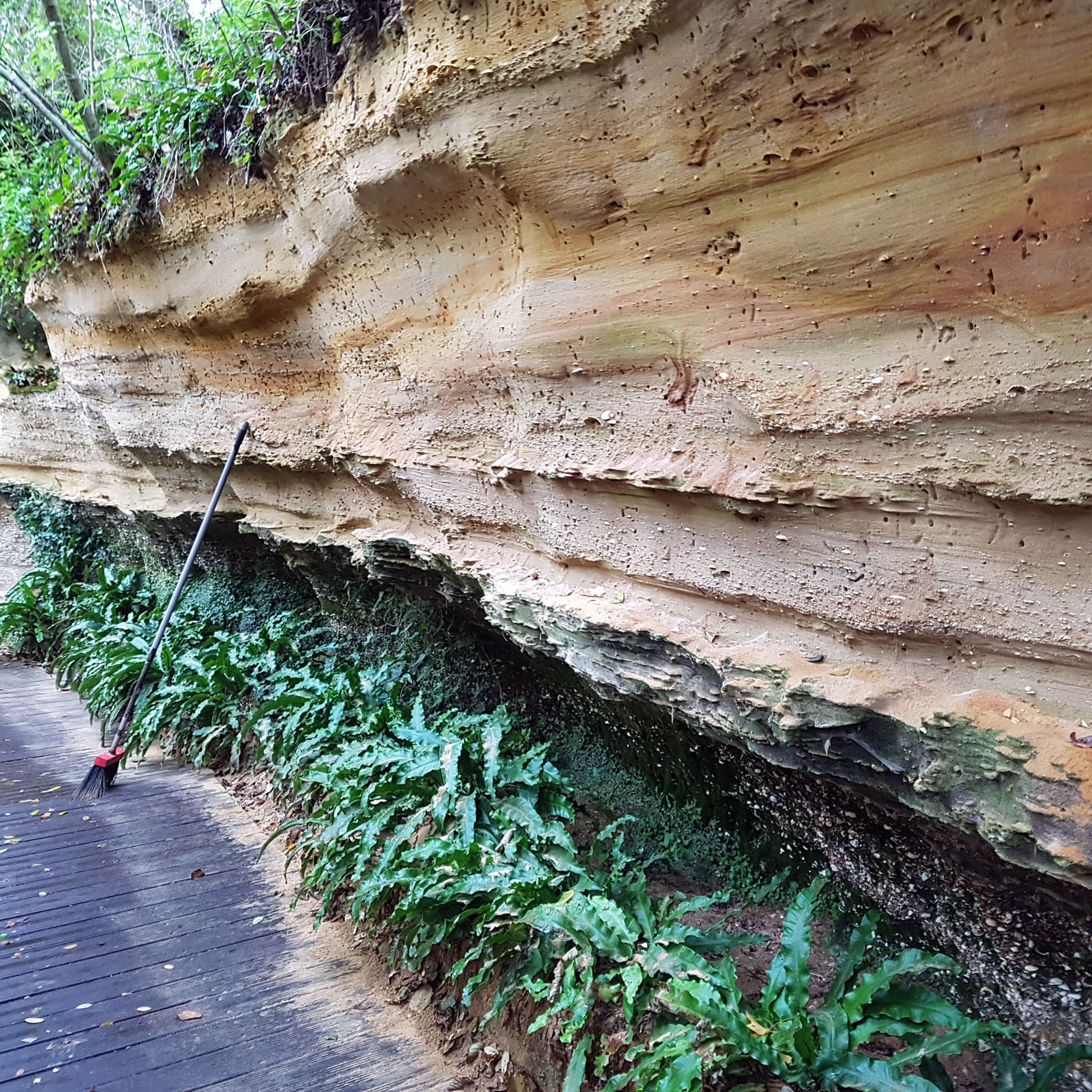 falaise de pont pourquey bis
