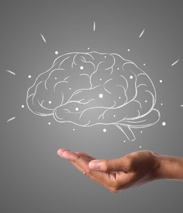 Mémoire - Cerveau