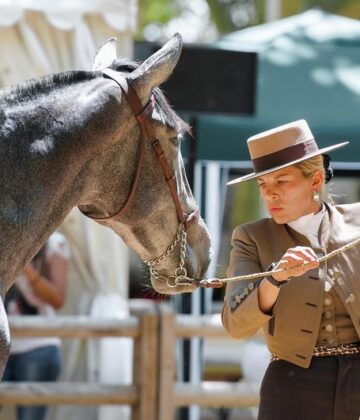 Spectacle équestre