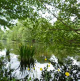 image001