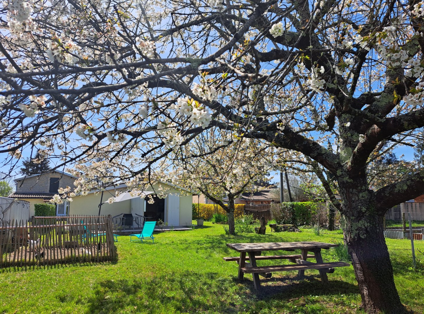 jardin cerisiers