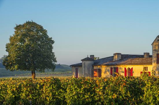 Château Sigalas-Rabaud - BOMMES - Sud-Gironde