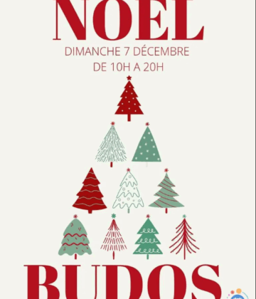 marché noel budos